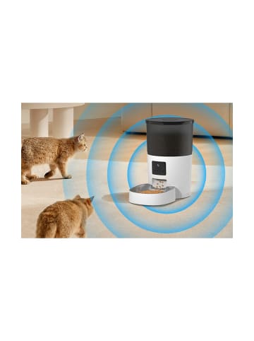 Rojeco 3L Futterautomat mit WLAN & Kamera