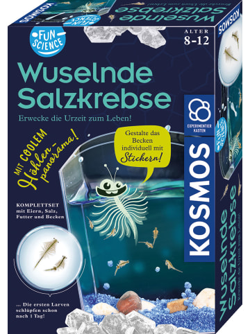 Kosmos Urzeitkrebse Salzkrebse züchten Kinder Experiment 8 Jahre