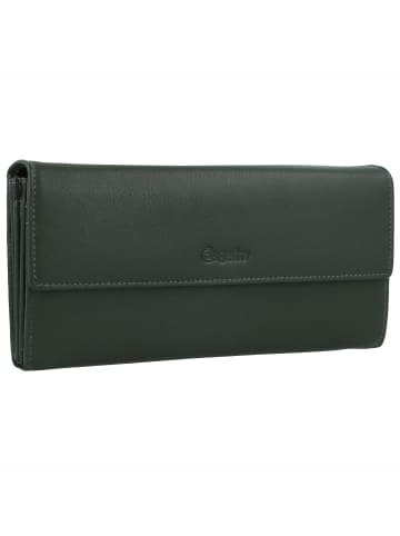 Esquire Viktoria Geldbörse RFID Leder 18,5 cm grün