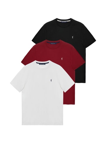 Polo Club 3 tlg. Set: T-shirts in Multicolor