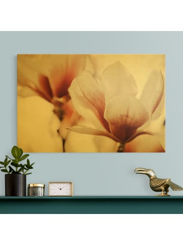 WALLART Leinwandbild Gold - Zarte Magnolienblüten im Lichtspiel in Rosa