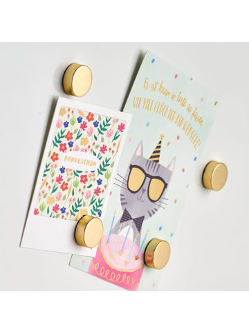 Zeller Present Magneten in schwarz