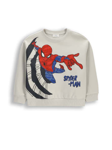 Coccodrillo Trainingsjacke in grau