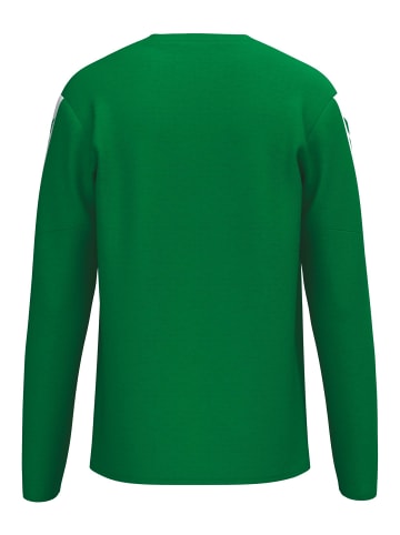 erima Erwachsene, Unisex Erwachsene Sweatshirt in smaragd