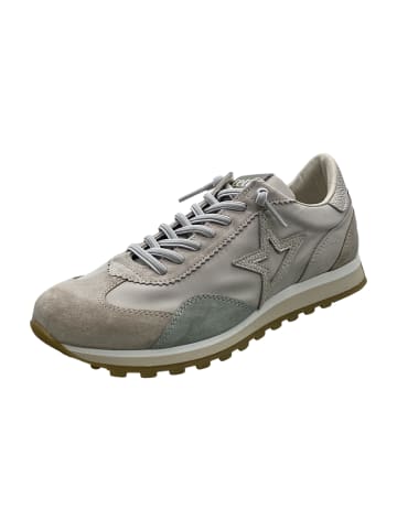 Cetti Sneaker Low in Beige