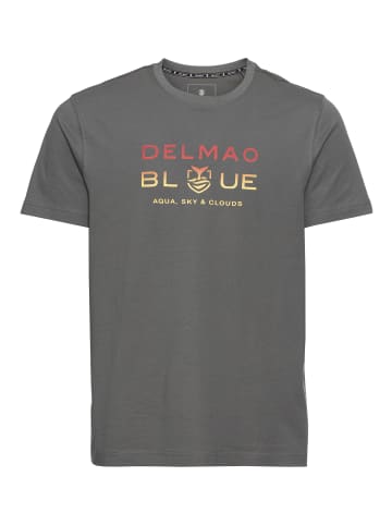 Delmao T-Shirt in grau