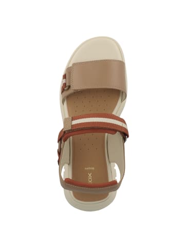 Geox Sandale D Flextride S in beige