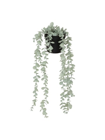 Atmosphera Créateur d'intérieur Eukalyptus in grün