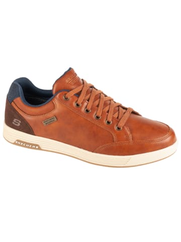 Skechers Skechers Cavell - Sparkman in Braun