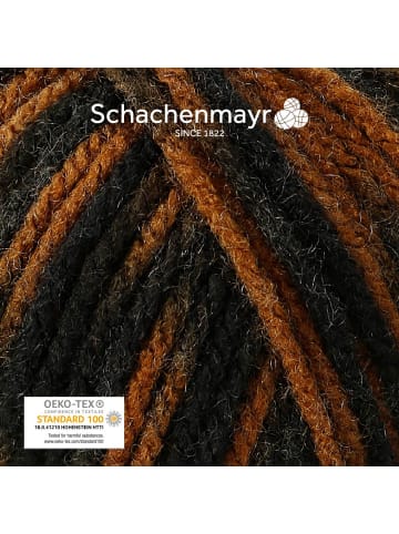 Schachenmayr since 1822 Handstrickgarne Bravo Color, 50g in Tiger color
