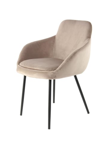 Kayoom Stuhl Cobain 2erSet in taupe