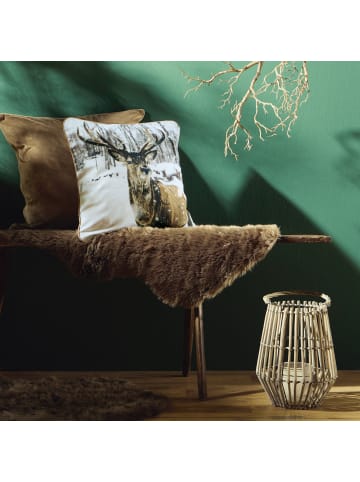 Erwin Müller Baumwolle Kissenhülle in Hirsch