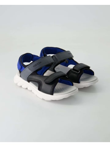 Geox Sandalen in Schwarz