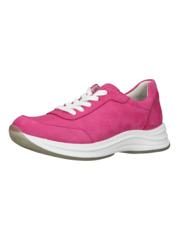 Paul Green Sneaker in Pink