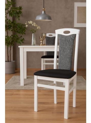 möbel-direkt Stühle (2 Stück) Berta in Gestell weiß, Stoff schwarz
