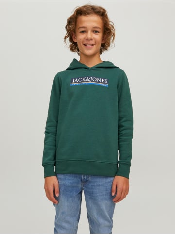 Jack & Jones Kapuzen Hoodie mit Logo Print JORCODYY in Grün