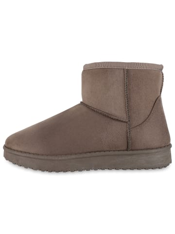 VAN HILL Winter Boots Chelsea in Taupe
