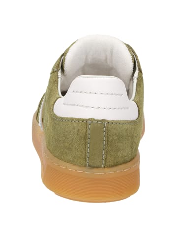 Sioux Sneaker Tedroso-DA-707 in grün