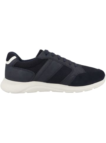 Geox Sneaker low U Damiano A in dunkelblau