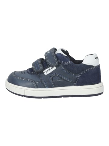 Geox Sneaker in Navy/Weiß