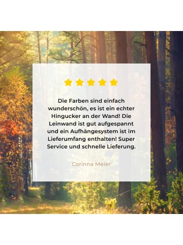 MuchoWow Leinwand bilder Waldpfad (BxH)