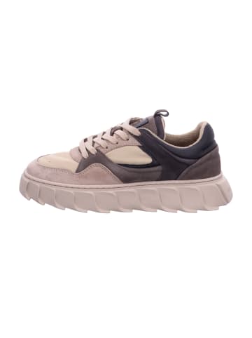 Apple of Eden Sneaker Low in Beige