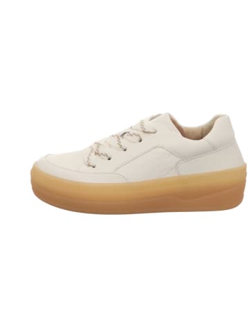 Gabor Schnürschuhe in beige