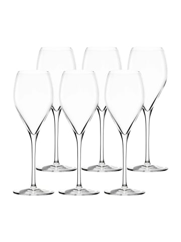 Stölzle 6er Set Champagnergläser Prestige in 345 ml in transparent