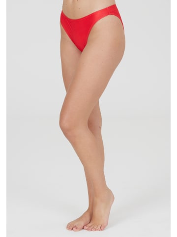 Cruz Bikini-Hose Aprilia in 4054 Hibiscus