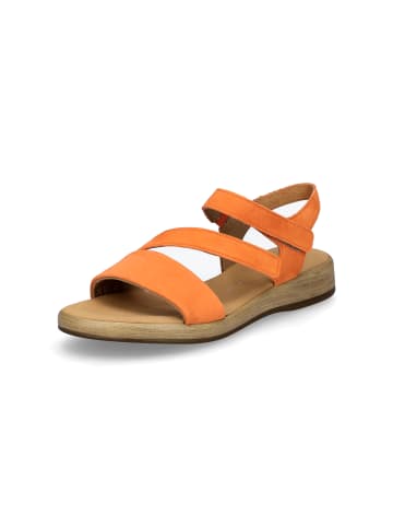 Gabor Comfort Sandale in Orange