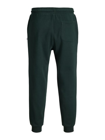 Jack & Jones Jogginghose in Scarab 1