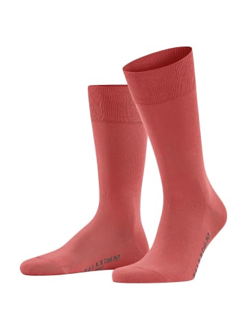 Falke Socken 1er Pack in Hellrot