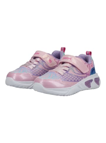 Geox Sneaker ASSISTER Lilac