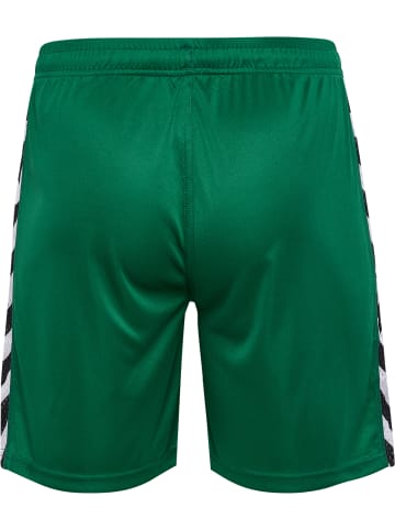 Hummel Hummel Kurze Hose Playful Shorts Erwachsene in EVERGREEN