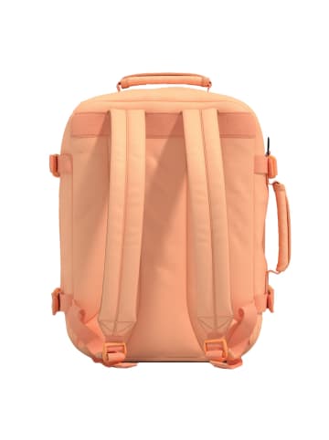 Cabinzero Adventure 119 Daypack 39 cm Laptopfach in sunny day