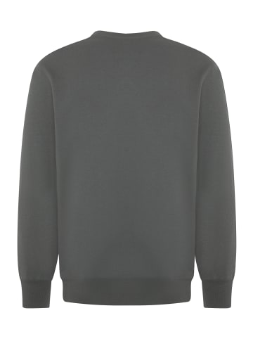 Expand Sweatshirt aus strapazierfähigem Material in Grau