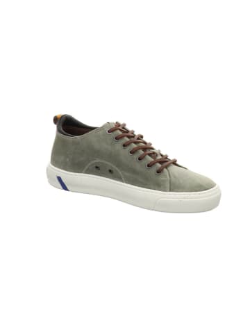 Floris van Bommel Sneaker Low in grau