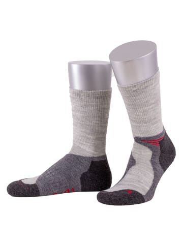 JD J. Dirks Outdoor-Funktions-Wollsocken OD40 in hellgrau (04)