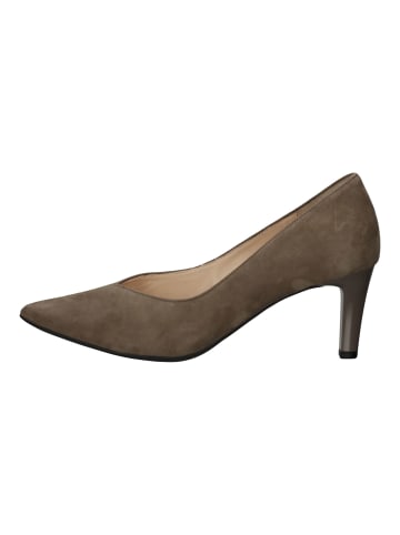 Högl Pumps in Taupe