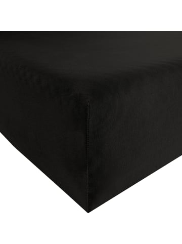 REDBEST Single-Jersey Spannbettlaken San Francisco in schwarz