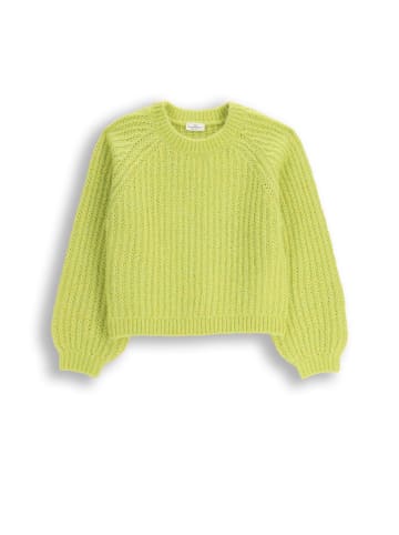 Coccodrillo Strickpullover in limonengrün