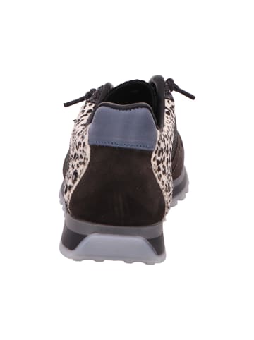 Cetti Sneaker in schwarz