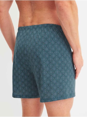 Calida Boxershorts in Blue print