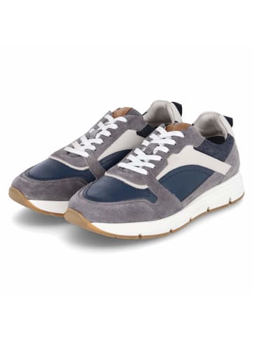 Bullboxer Schuh in grau