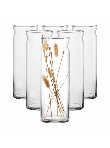 Ritzenhoff & Breker 6er Set Vasen Dalia 35 cm in transparent