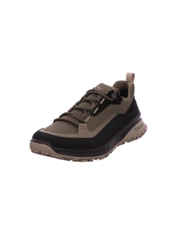 Ecco Schnürschuh in braun