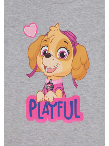 Paw Patrol T-Shirt kurzarm Paw Patrol Skye in Grau