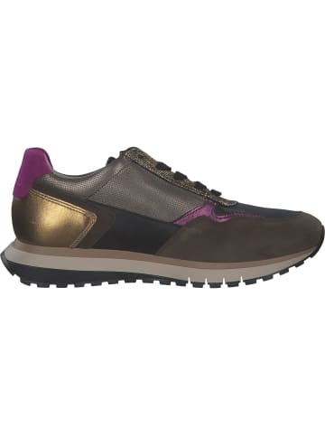 Gabor Comfort Schnürschuhe in schw/efeu/golden k.