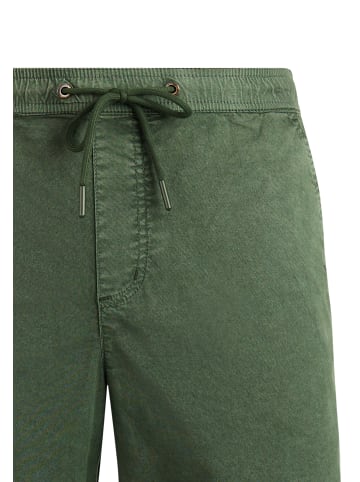 Protest " PRTNivel in Thyme