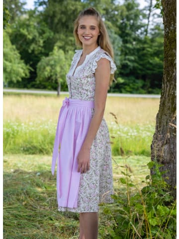 Berwin Rosendruck-Dirndl mit Streifen-Schürze